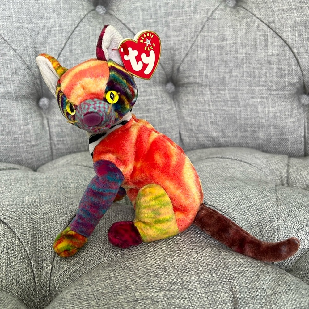 Beanie Cat